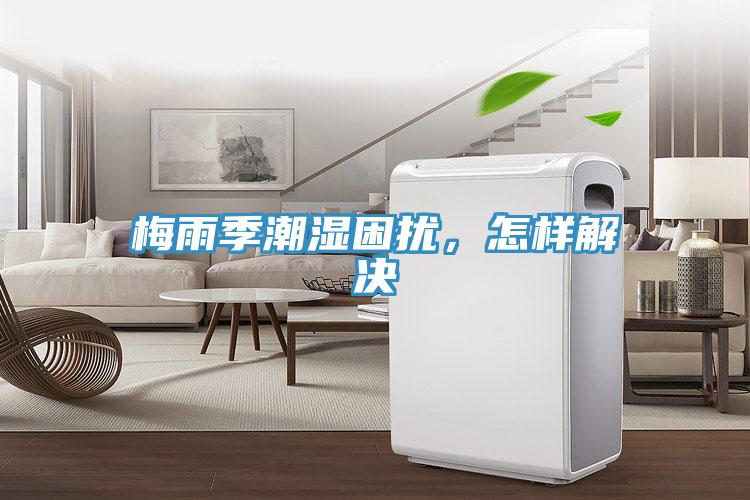 梅雨季潮濕困擾，怎樣解決