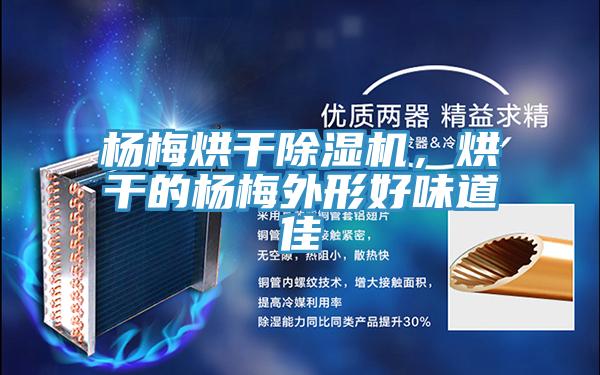 楊梅烘干除濕機(jī)，烘干的楊梅外形好味道佳