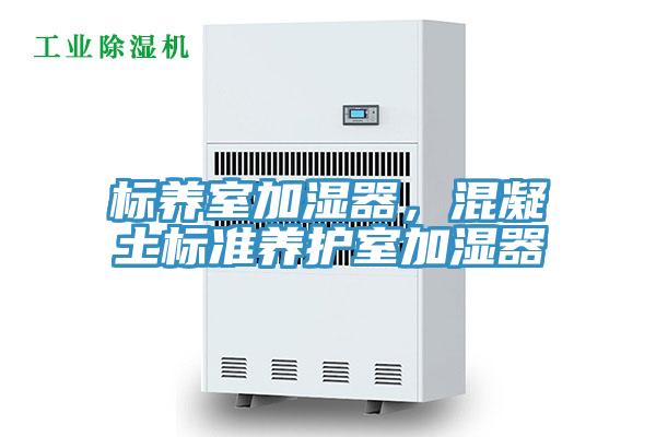 標(biāo)養(yǎng)室加濕器，混凝土標(biāo)準(zhǔn)養(yǎng)護(hù)室加濕器