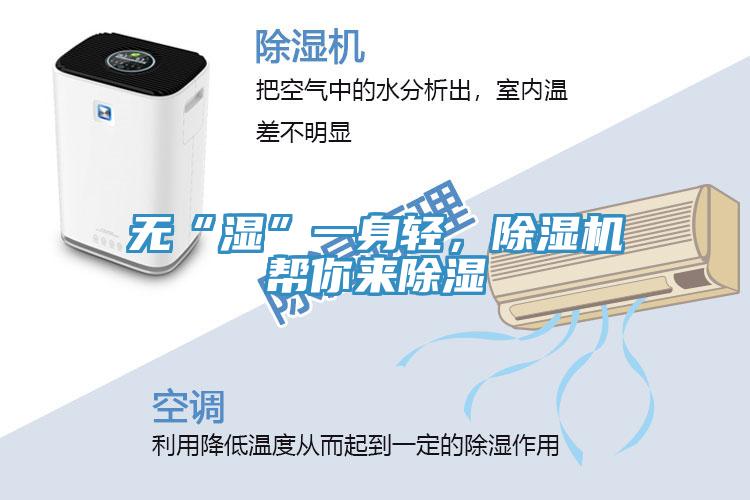 無“濕”一身輕，除濕機幫你來除濕