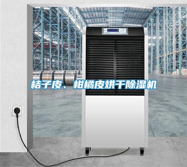 桔子皮、柑橘皮烘干除濕機(jī)