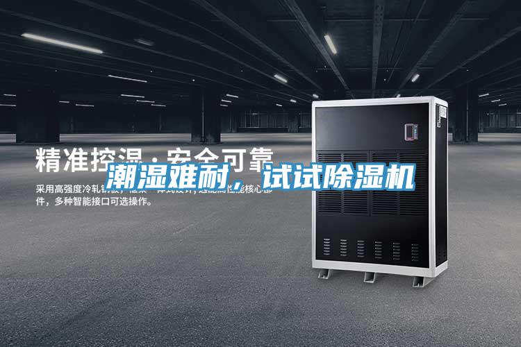 潮濕難耐，試試除濕機(jī)