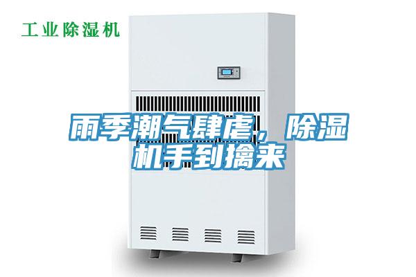 雨季潮氣肆虐，除濕機手到擒來