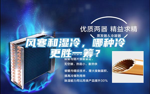 風(fēng)寒和濕冷，哪種冷更勝一籌？