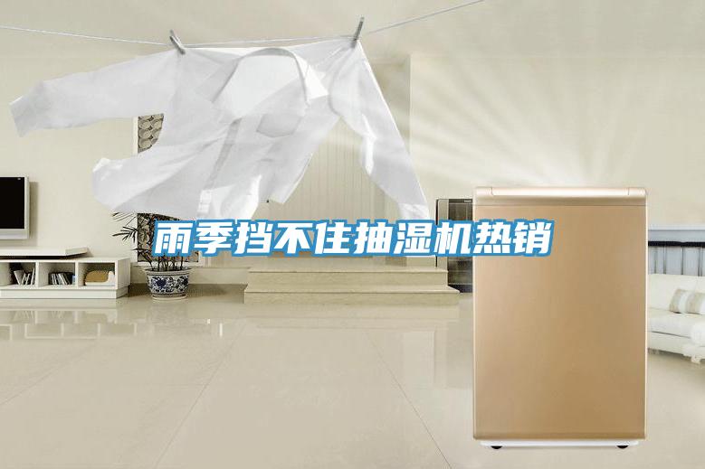 雨季擋不住抽濕機熱銷