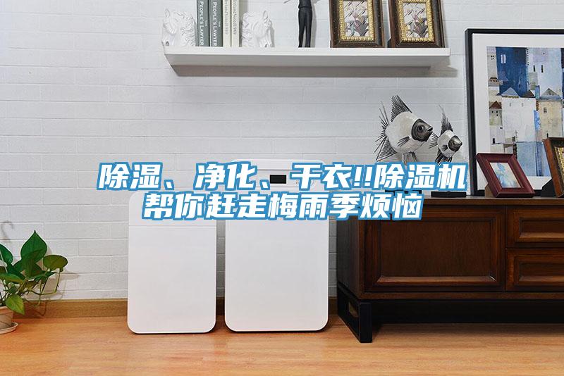 除濕、凈化、干衣!!除濕機(jī)幫你趕走梅雨季煩惱