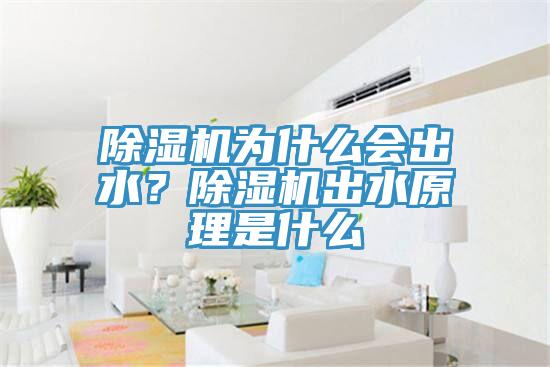 除濕機為什么會出水？除濕機出水原理是什么