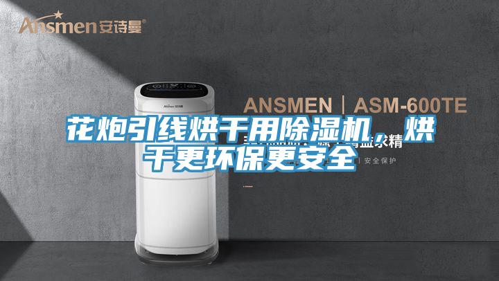 花炮引線(xiàn)烘干用除濕機(jī)，烘干更環(huán)保更安全