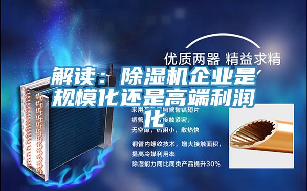 解讀：除濕機(jī)企業(yè)是規(guī)模化還是高端利潤(rùn)化