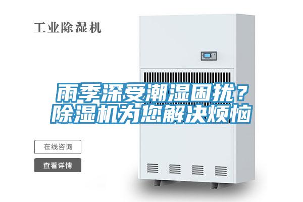 雨季深受潮濕困擾？除濕機為您解決煩惱