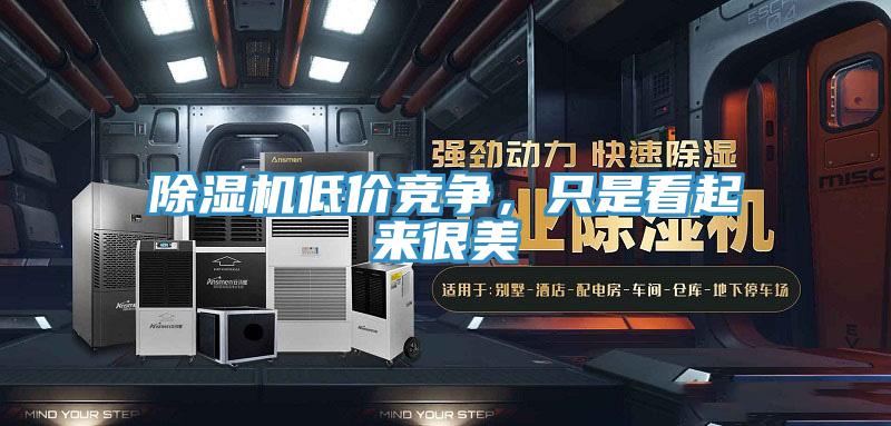除濕機(jī)低價(jià)競爭，只是看起來很美