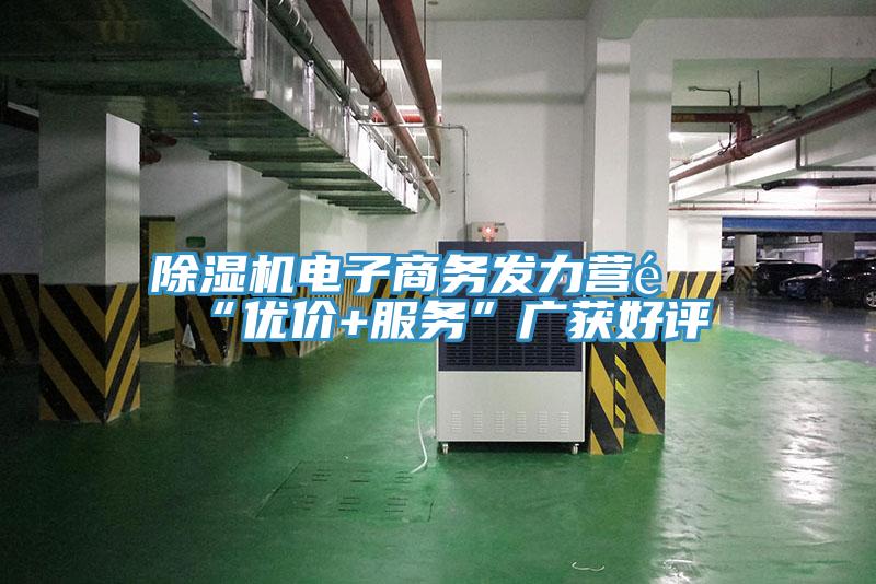 除濕機(jī)電子商務(wù)發(fā)力營(yíng)銷(xiāo)“優(yōu)價(jià)+服務(wù)”廣獲好評(píng)