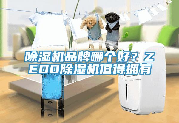 除濕機(jī)品牌哪個好？ZEDO除濕機(jī)值得擁有