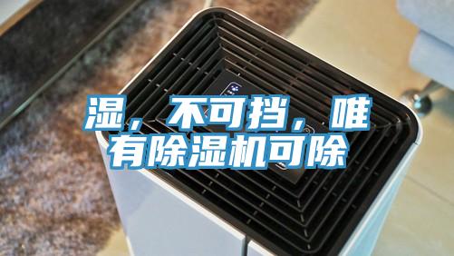濕，不可擋，唯有除濕機可除
