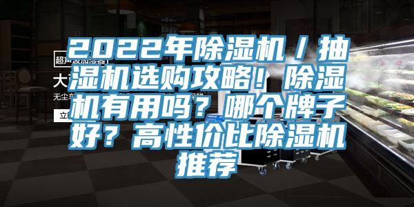 2022年除濕機(jī)／抽濕機(jī)選購(gòu)攻略！除濕機(jī)有用嗎？哪個(gè)牌子好？高性價(jià)比除濕機(jī)推薦