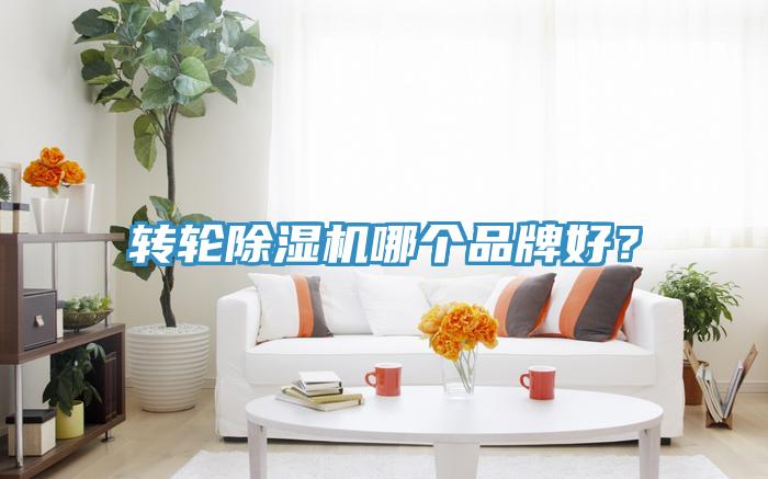 轉(zhuǎn)輪除濕機哪個品牌好？