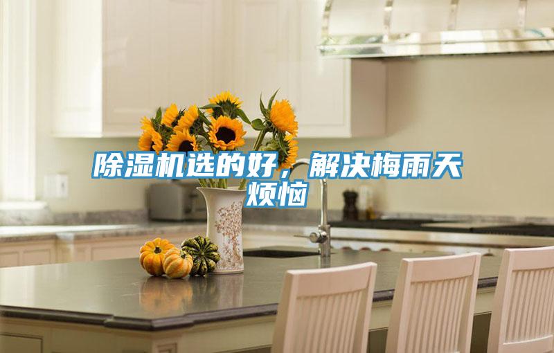 除濕機選的好，解決梅雨天煩惱