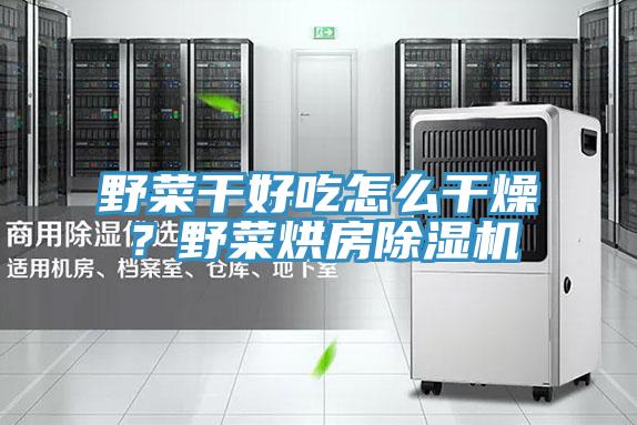 野菜干好吃怎么干燥？野菜烘房除濕機(jī)