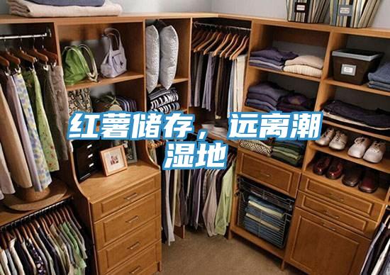 紅薯儲(chǔ)存，遠(yuǎn)離潮濕地