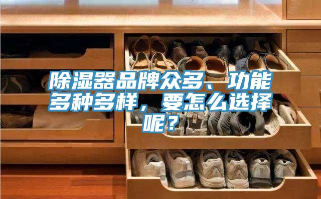 除濕器品牌眾多、功能多種多樣，要怎么選擇呢？