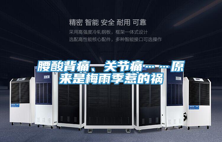 腰酸背痛、關(guān)節(jié)痛……原來(lái)是梅雨季惹的禍