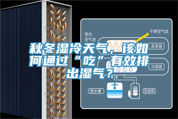 秋冬濕冷天氣，該如何通過“吃”有效排出濕氣？