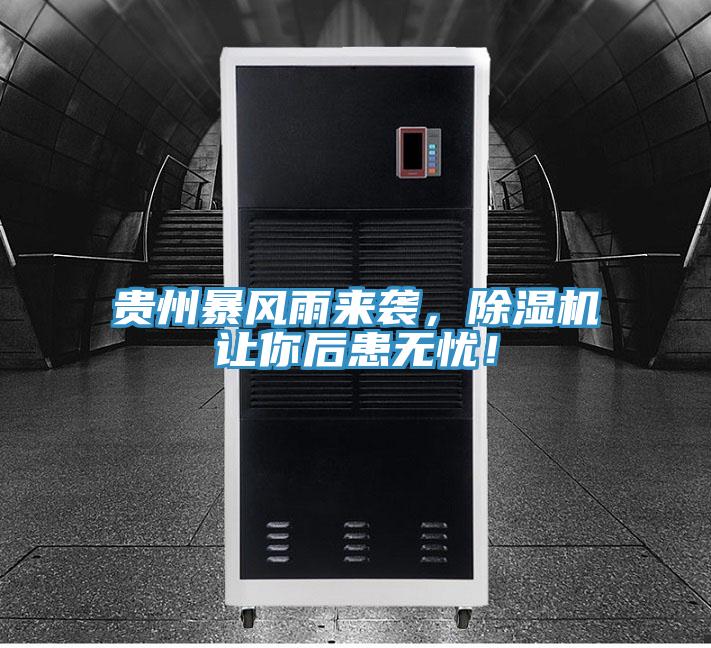 貴州暴風雨來襲，除濕機讓你后患無憂！