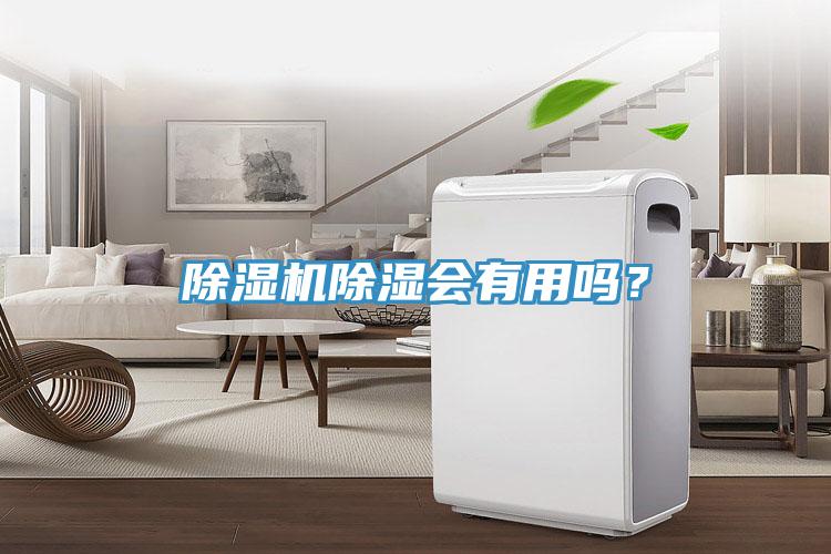 除濕機除濕會有用嗎？