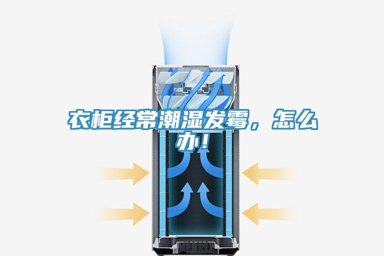 衣柜經(jīng)常潮濕發(fā)霉，怎么辦！