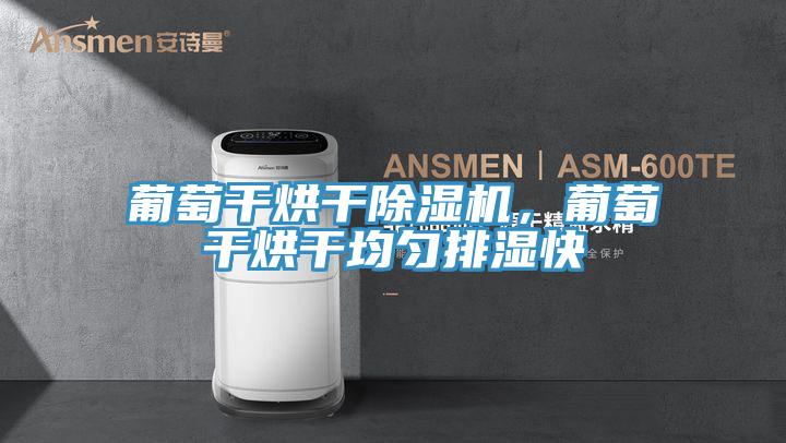 葡萄干烘干除濕機(jī)，葡萄干烘干均勻排濕快