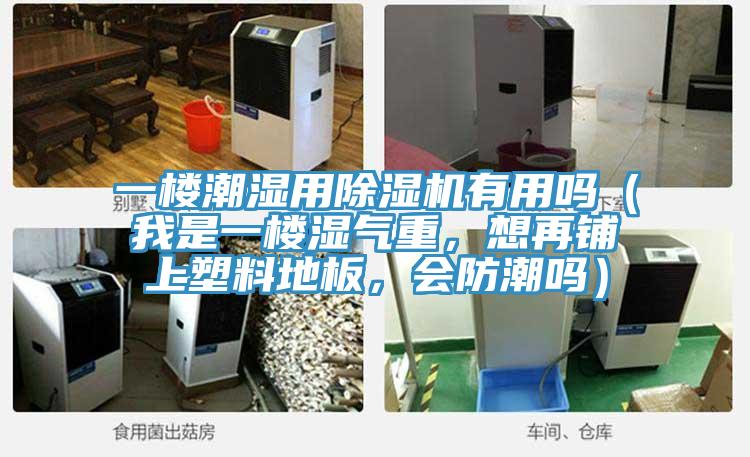 一樓潮濕用除濕機(jī)有用嗎（我是一樓濕氣重，想再鋪上塑料地板，會防潮嗎）