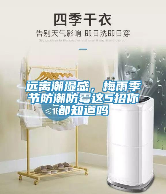 遠(yuǎn)離潮濕感，梅雨季節(jié)防潮防霉這5招你都知道嗎