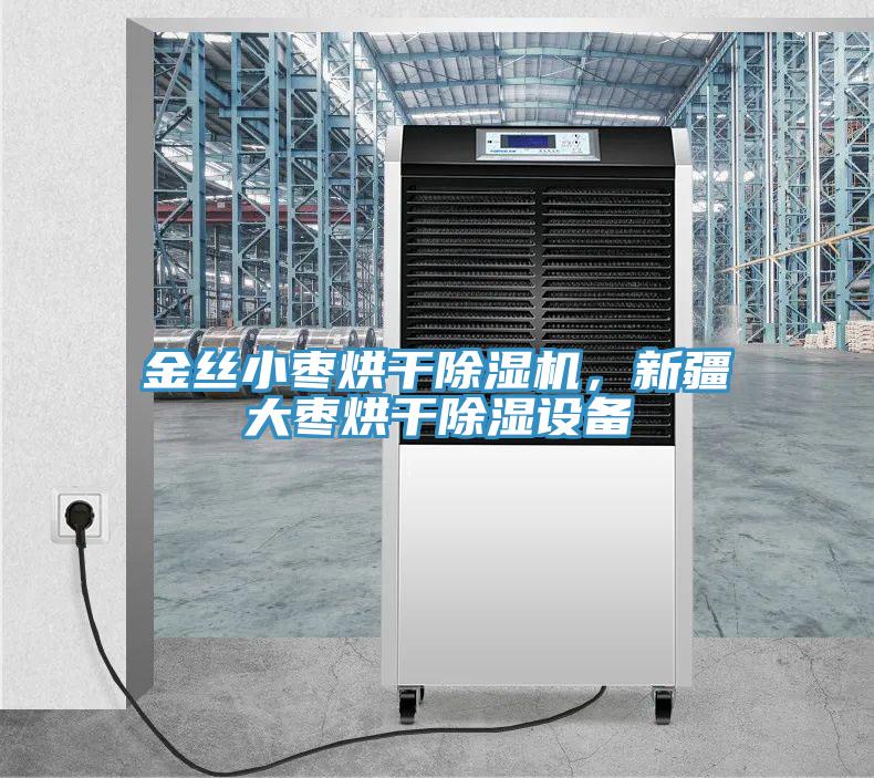 金絲小棗烘干除濕機(jī)，新疆大棗烘干除濕設(shè)備