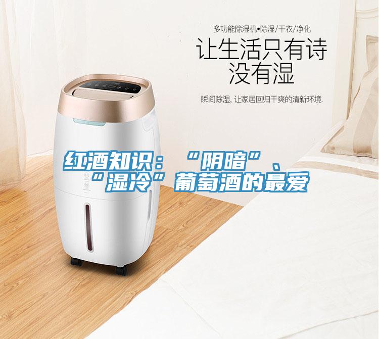 紅酒知識(shí)：“陰暗”、“濕冷”葡萄酒的最愛(ài)