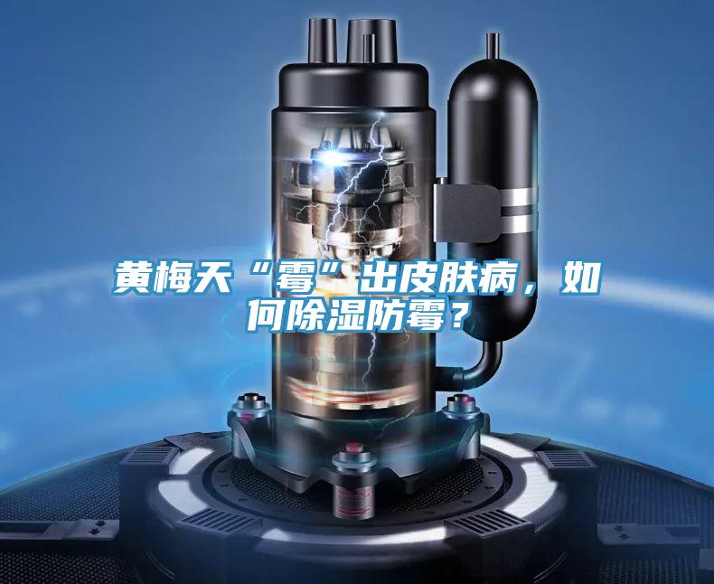 黃梅天“霉”出皮膚病，如何除濕防霉？