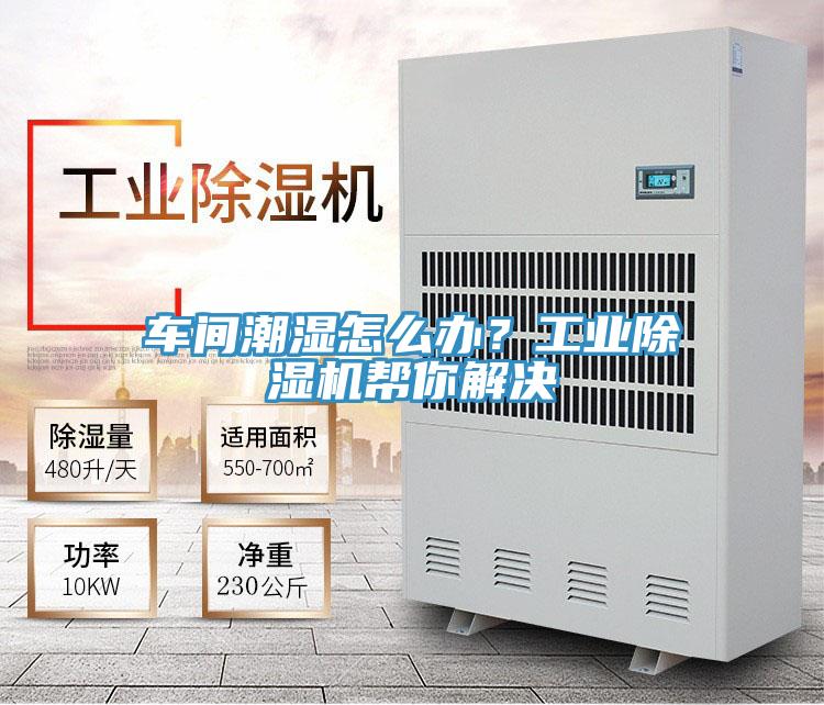 車間潮濕怎么辦？工業(yè)除濕機幫你解決