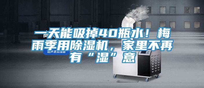 一天能吸掉40瓶水！梅雨季用除濕機(jī)，家里不再有“濕”意