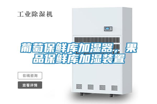 葡萄保鮮庫(kù)加濕器，果品保鮮庫(kù)加濕裝置