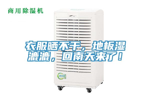 衣服曬不干，地板濕漉漉，回南天來了！