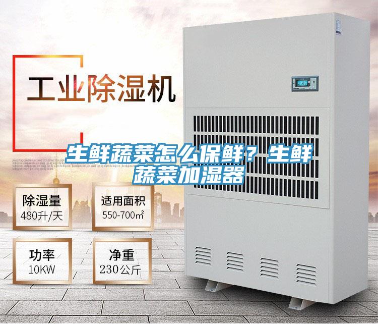 生鮮蔬菜怎么保鮮？生鮮蔬菜加濕器