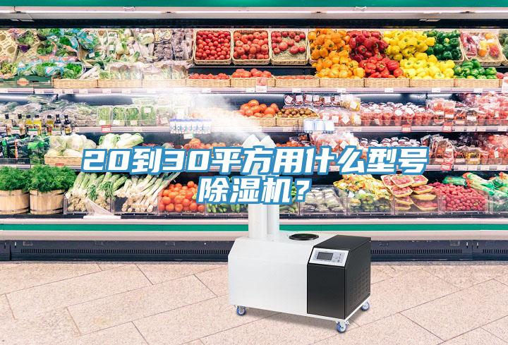 20到30平方用什么型號除濕機(jī)？