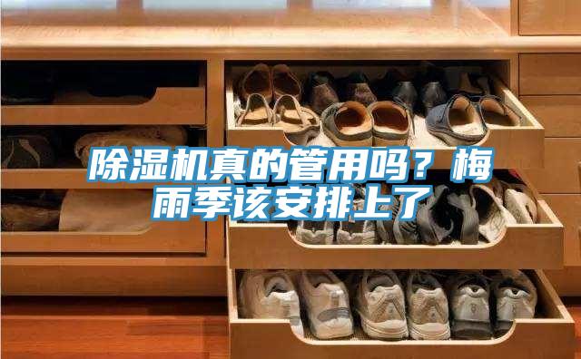 除濕機(jī)真的管用嗎？梅雨季該安排上了