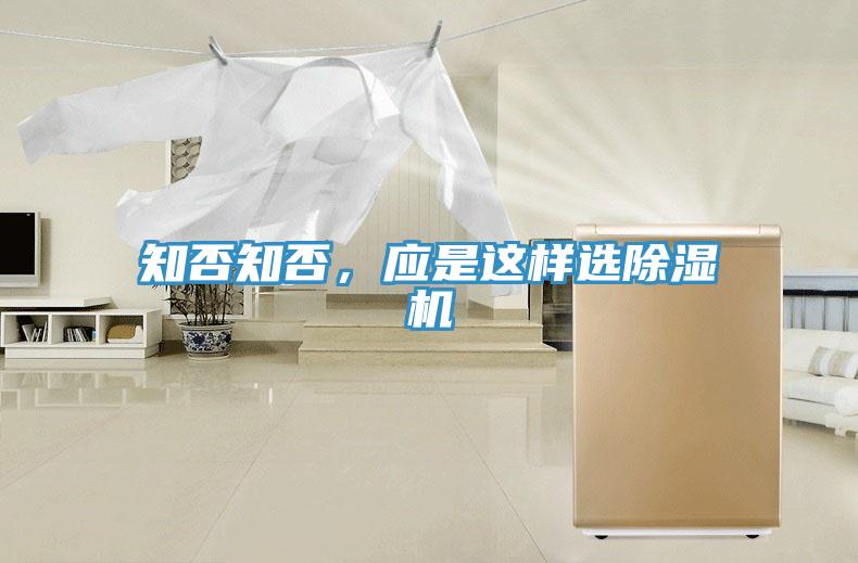 知否知否，應(yīng)是這樣選除濕機(jī)