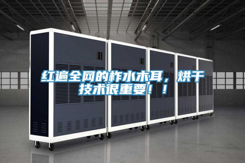 紅遍全網(wǎng)的柞水木耳，烘干技術(shù)很重要?。?></div>
								<div   id=