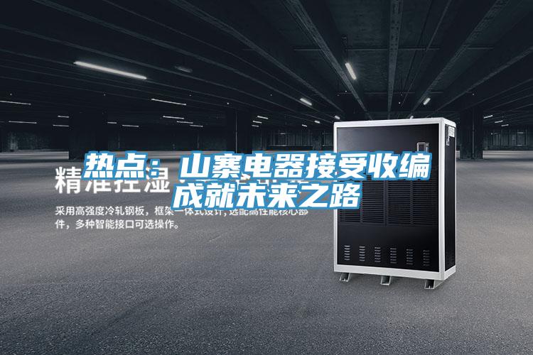 熱點(diǎn):山寨電器接受收編 成就未來之路