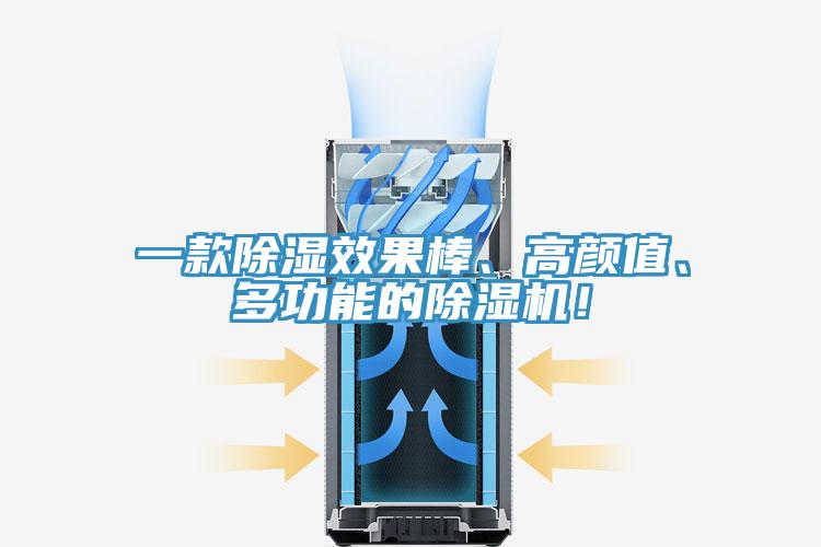 一款除濕效果棒、高顏值、多功能的除濕機(jī)！