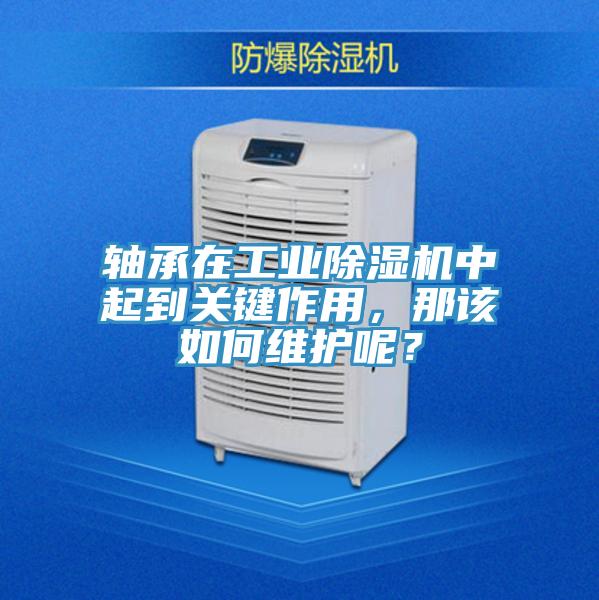 軸承在工業(yè)除濕機(jī)中起到關(guān)鍵作用，那該如何維護(hù)呢？