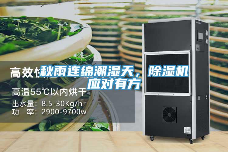 秋雨連綿潮濕天，除濕機應(yīng)對有方