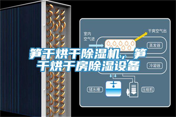 筍干烘干除濕機(jī)，筍干烘干房除濕設(shè)備