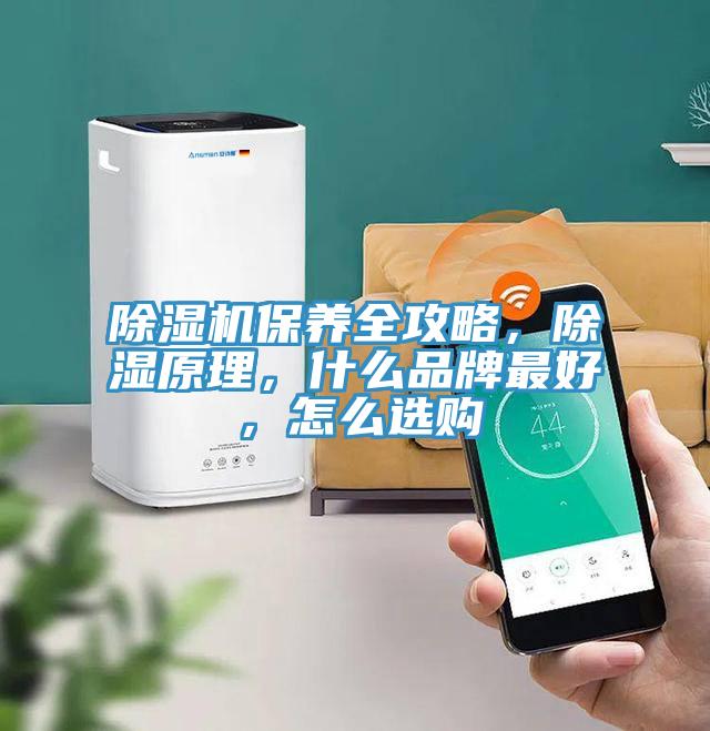 除濕機(jī)保養(yǎng)全攻略，除濕原理，什么品牌最好，怎么選購(gòu)